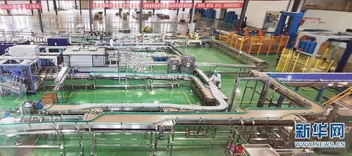 云南社科專家團赴楚雄州調(diào)研 為產(chǎn)業(yè)發(fā)展與網(wǎng)絡(luò)科技融合建言獻策